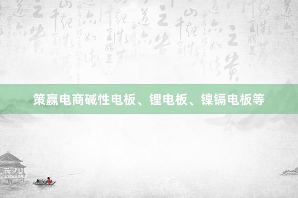 策赢电商碱性电板、锂电板、镍镉电板等