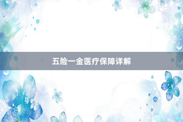 五险一金医疗保障详解